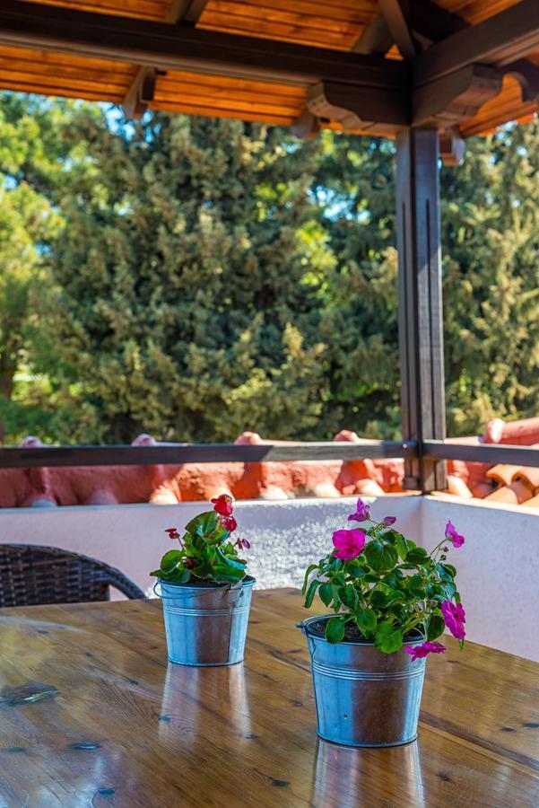 Georgalas Sun Beach Rooms Nea Kallikrateia Eksteriør bilde